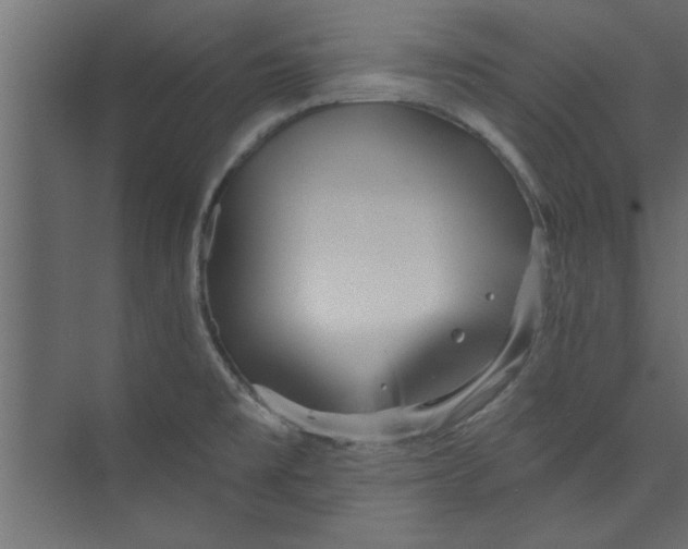 X0000073461477200608181252