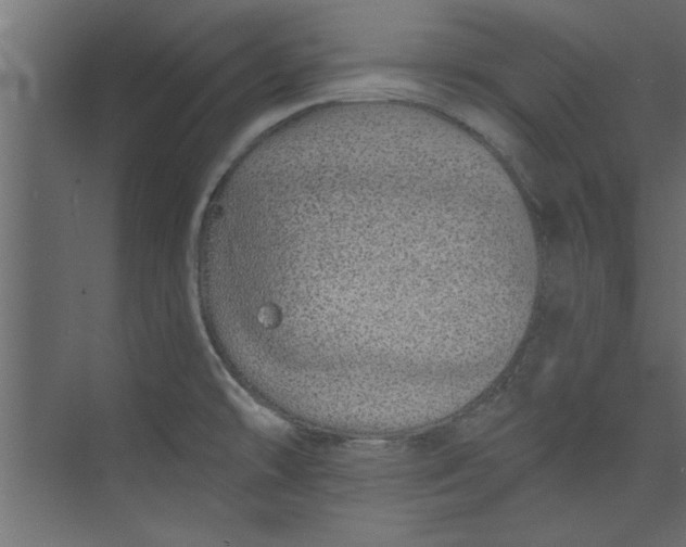 X0000073461478200608181252