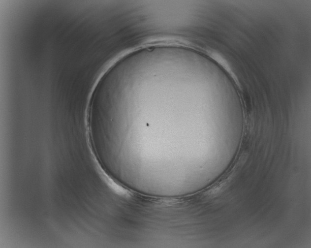 X0000073461482200608181252