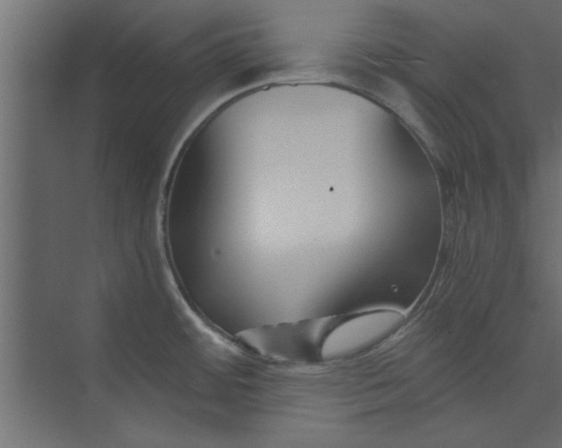 X0000073461484200608181252