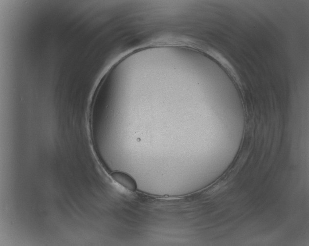 X0000073461486200608181252