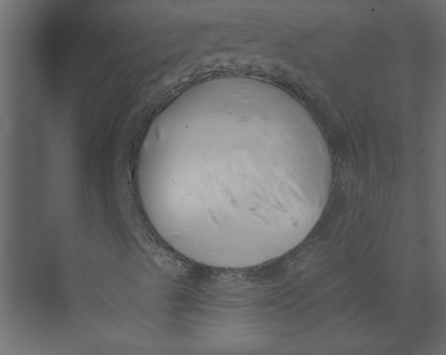 X0000073461489200608181251