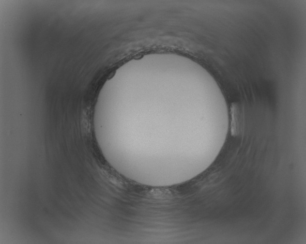 X0000073461491200608181251