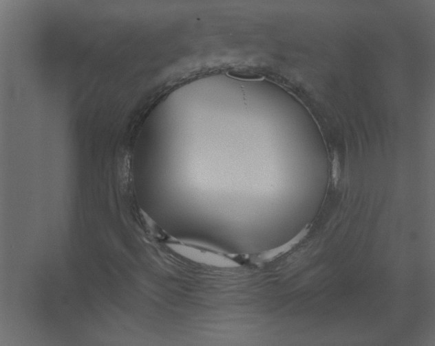 X0000073461492200608181251