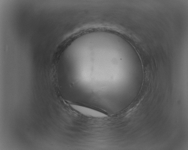 X0000073461494200608181251