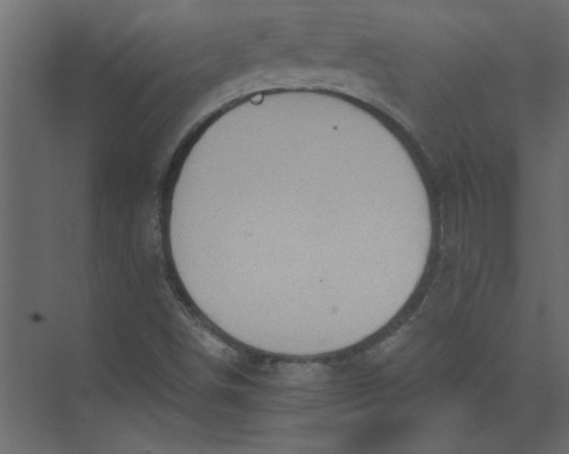 X0000073461498200608181251