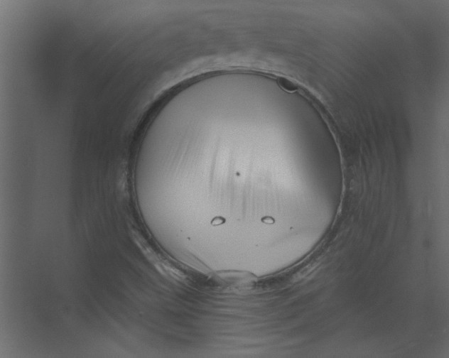 X0000073461499200608181251