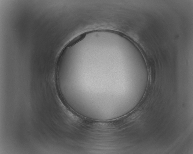 X0000073461500200608181251