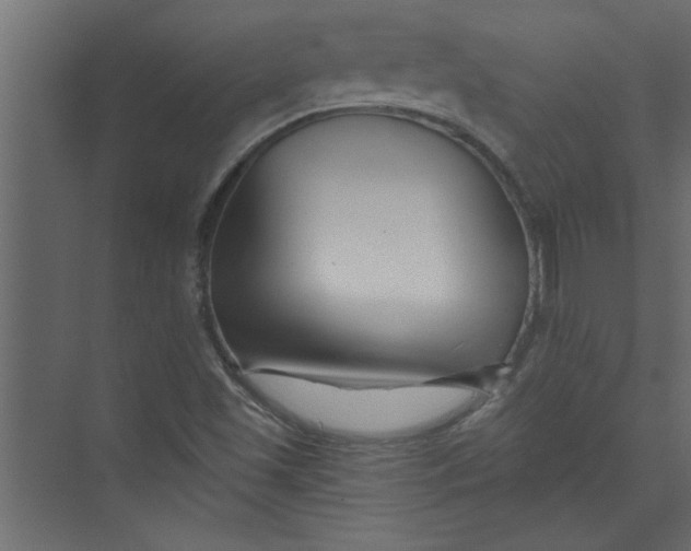 X0000073461501200608181251