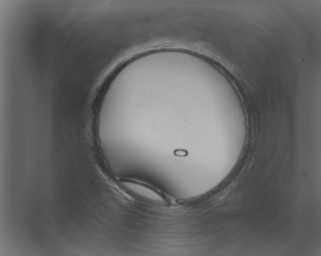 X0000073461502200608181251