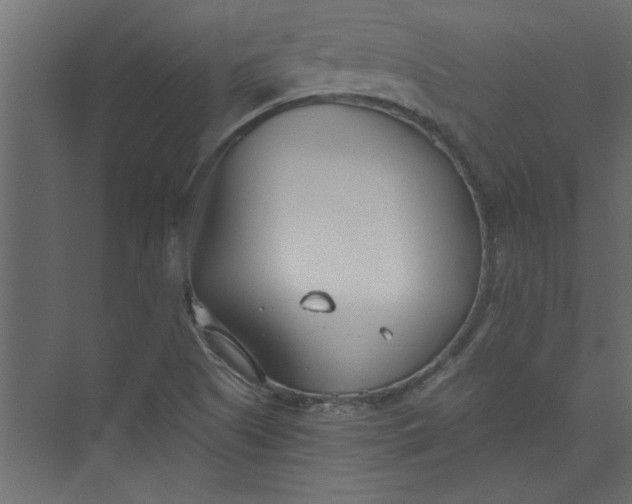 X0000073461505200608181252