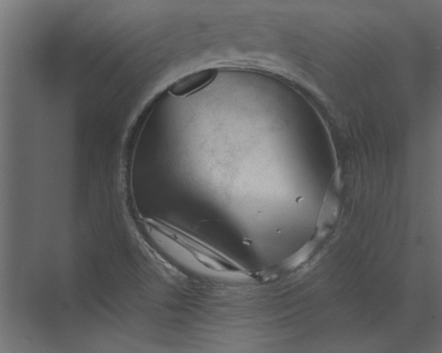 X0000073461506200608181252