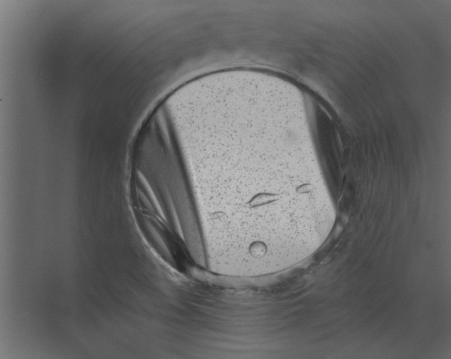 X0000073461508200608181252