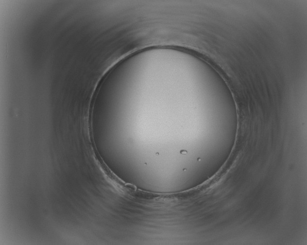 X0000073461513200608181252