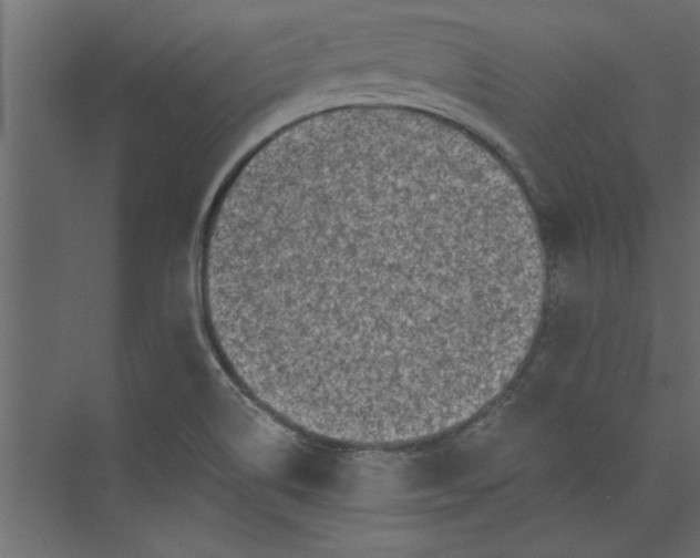 X0000073461514200608181252