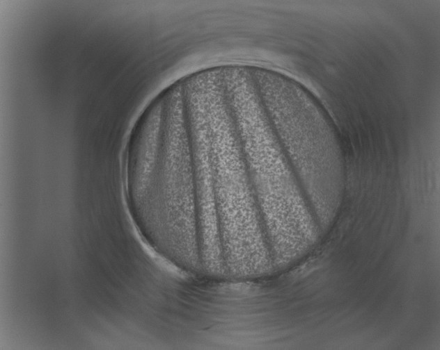 X0000073461515200608181252