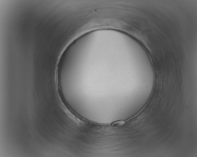 X0000073461516200608181252