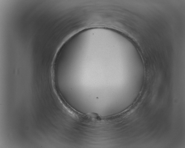 X0000073461517200608181252