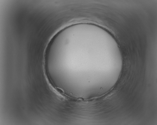 X0000073461518200608181252