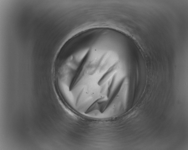 X0000073461519200608181252