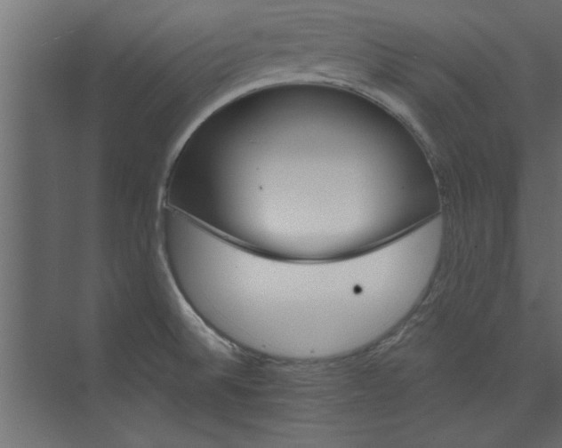 X0000073461524200608181252