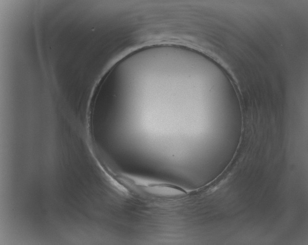 X0000073461525200608181252