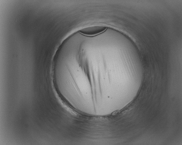 X0000073461526200608181252