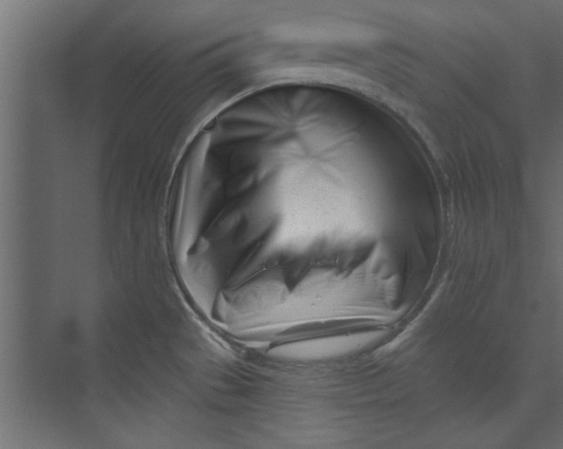 X0000073461529200608181252