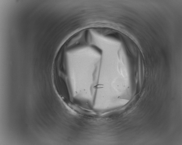 X0000073461533200608181252