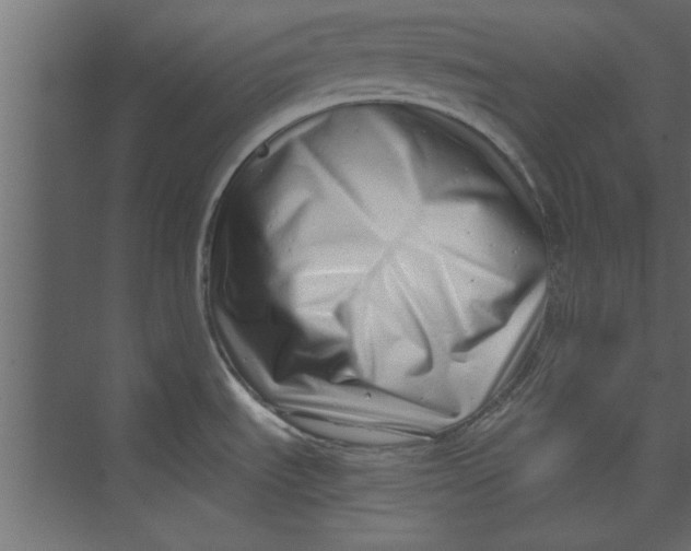 X0000073461535200608181252