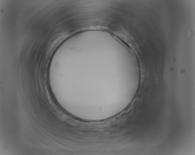 X0000073460001200608251743