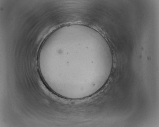 X0000073460002200608251743