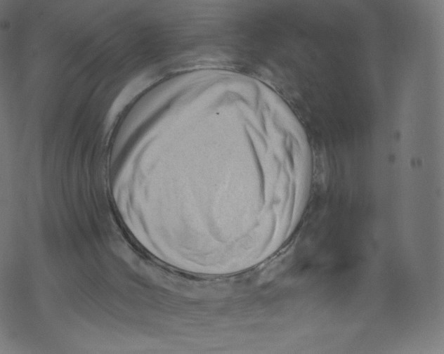 X0000073460004200608251743