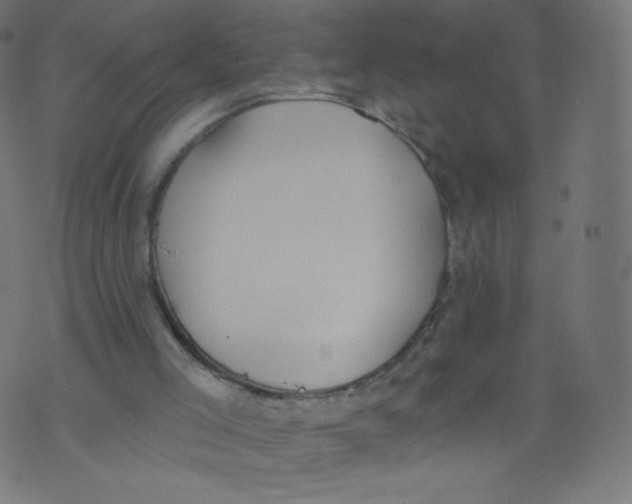 X0000073460005200608251743