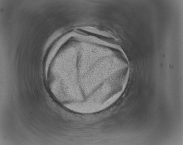 X0000073460006200608251743