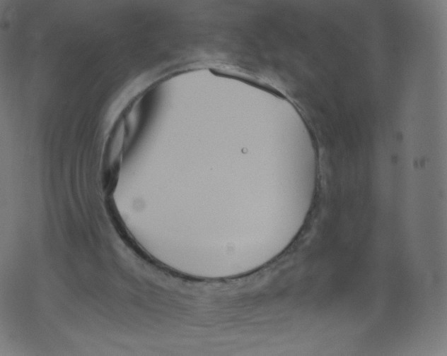 X0000073460007200608251743