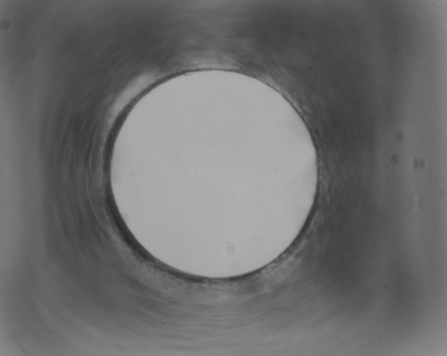 X0000073460008200608251743