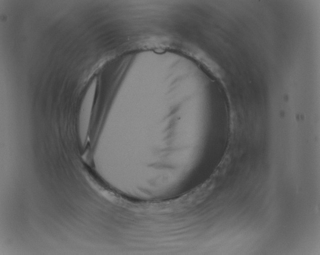 X0000073460009200608251743