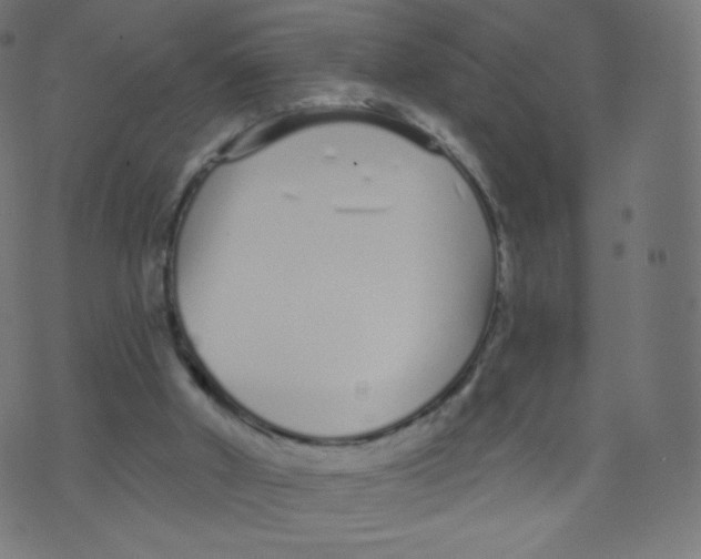 X0000073460010200608251743