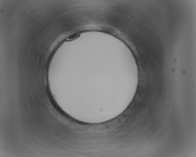 X0000073460011200608251743