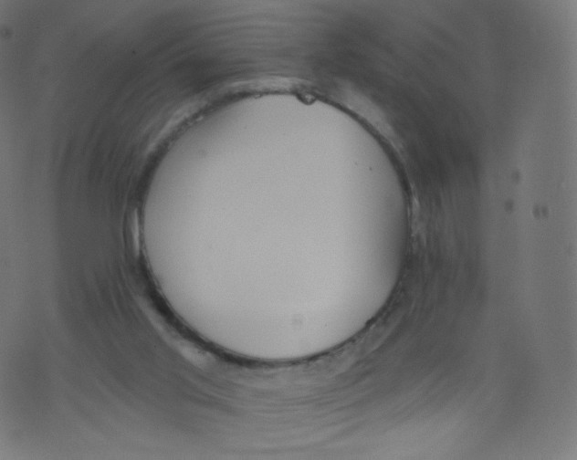 X0000073460013200608251743