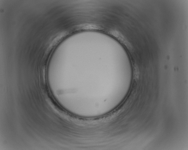 X0000073460014200608251743