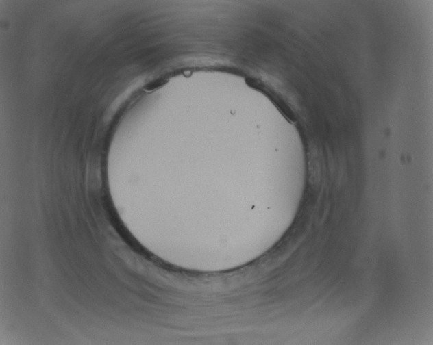 X0000073460015200608251743