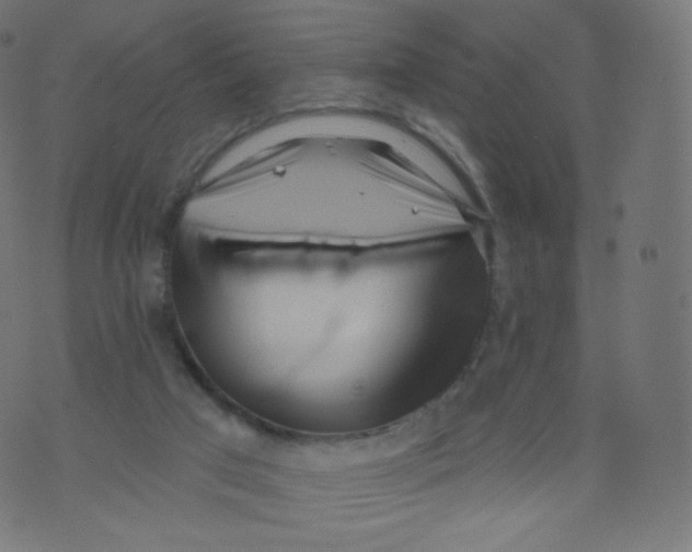 X0000073460017200608251743