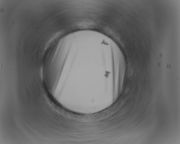 X0000073460019200608251743