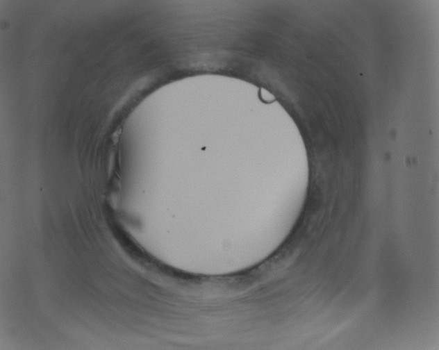 X0000073460020200608251743