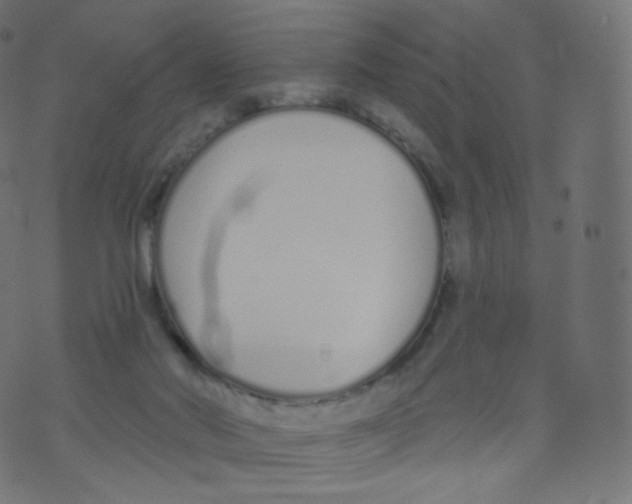 X0000073460022200608251743