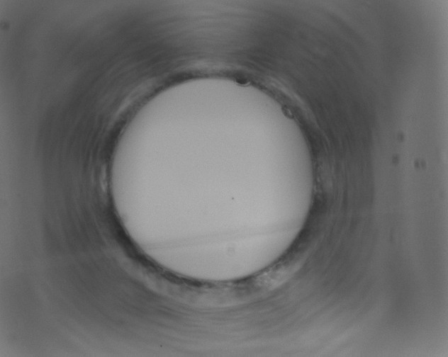 X0000073460024200608251743