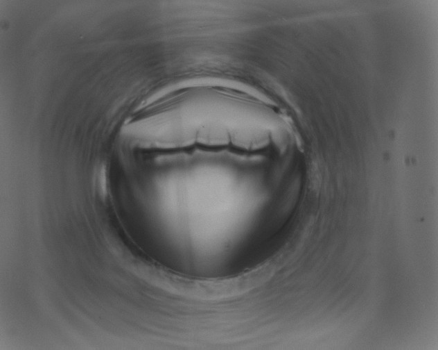 X0000073460027200608251743