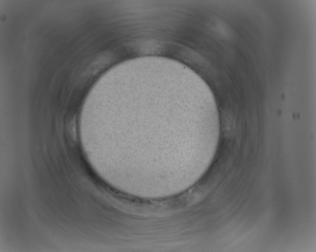 X0000073460028200608251743